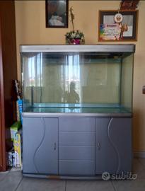 Acquario con mobile