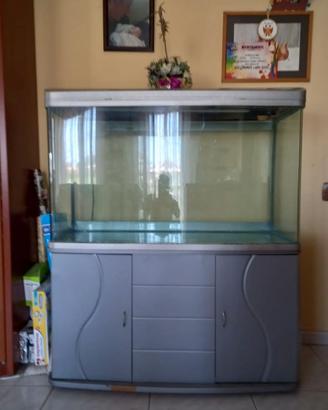 Acquario con mobile