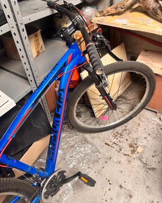 Bicicletta