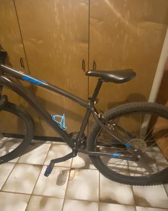 Bici e