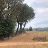 Terreno Agricolo FIUGGI