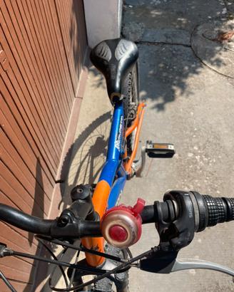 Bicicletta bambino