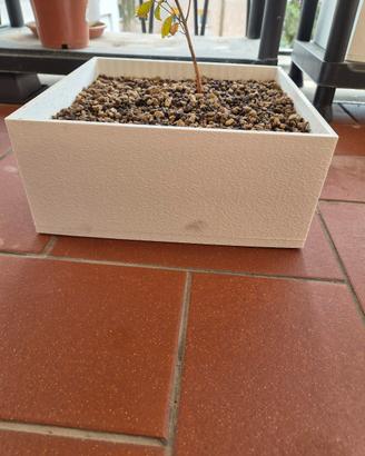 Vaso Bonsai Quadrato Bianco Ruvido 25x25  - Nuovo