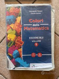 Colori della matematica ed.Blu volume 1