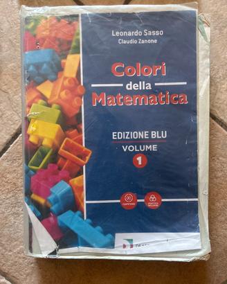 Colori della matematica ed.Blu volume 1