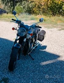 Triumph Bonneville T 100 