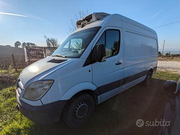 Mercedes Sprinter Coibentato con Frigo ATP FRCX