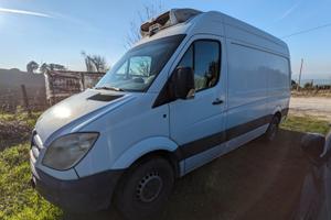 Mercedes Sprinter Coibentato con Frigo ATP FRCX