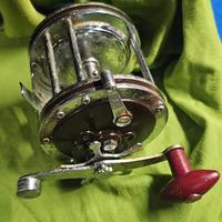 Mulinello Penn Senator 114H2 Special Senator Star 