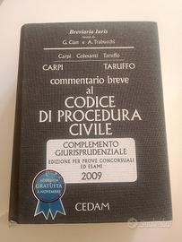Commentario al codice di procedura civile 2009