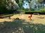 Immagine 29