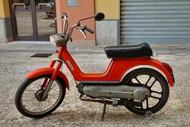 Boxer Piaggio 1981