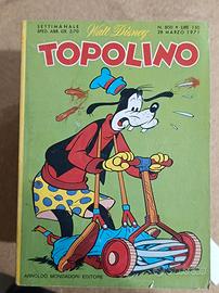 Topolino fascia 800