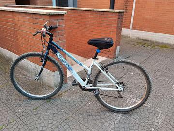 montainbike rockrider 5.0