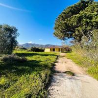 Suggestiva villetta immersa nel verde