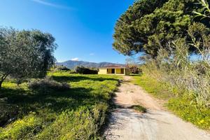 Suggestiva villetta immersa nel verde