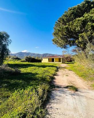 Suggestiva villetta immersa nel verde