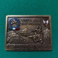 Placca vespa