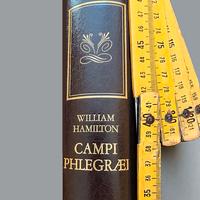 Campi Flegrei libro Banco di Napoli W.Hamilton