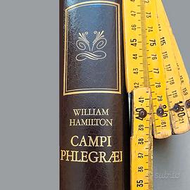 Campi Flegrei libro Banco di Napoli W.Hamilton