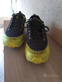 Scott ultra race