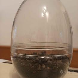 Terrarium Jurassic Lab