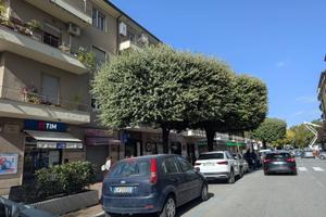 Locale commerciale corso Turati