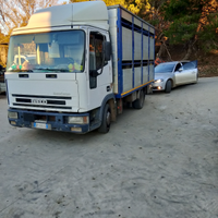 Iveco trasporto animali