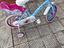 Immagine 1