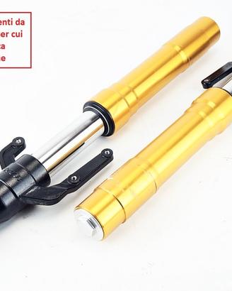 KL BRERA X 300 2022 2024 steli forcella