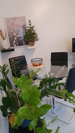 Panoramico ristrutturato in largo pestalozzi