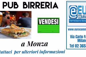 383/24 PUB BIRRERIA a Monza di mq 60