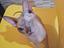 Immagine 4
