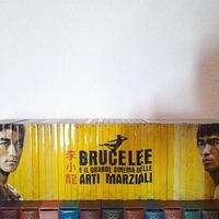 BRUCE LEE e il Cinema delle Arti Marziali - 40 dvd
