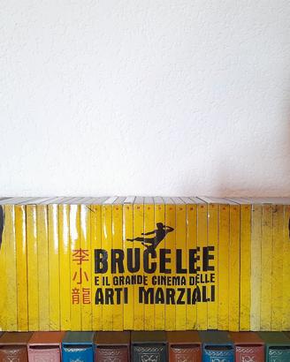 BRUCE LEE e il Cinema delle Arti Marziali - 40 dvd