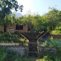 Terreno panoramico con uliveto e fabbricato