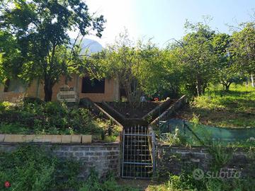 Terreno panoramico con uliveto e fabbricato