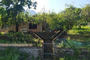 Terreno panoramico con uliveto e fabbricato