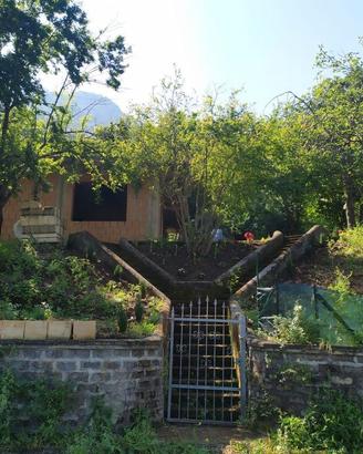Terreno panoramico con uliveto e fabbricato