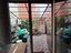 Immagine 29