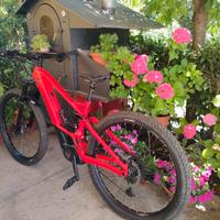 E-bike Orbea Wild