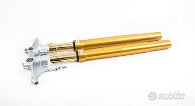 Bmw s 1000 r forcelle ohlins con cartucce nix 30