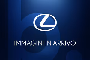 Lexus NX 350h 2.5 Premium+ 4wd 244cv e-cvt