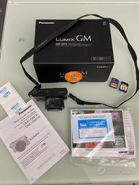 Panasonic Mirrorless LUMIX GM1K