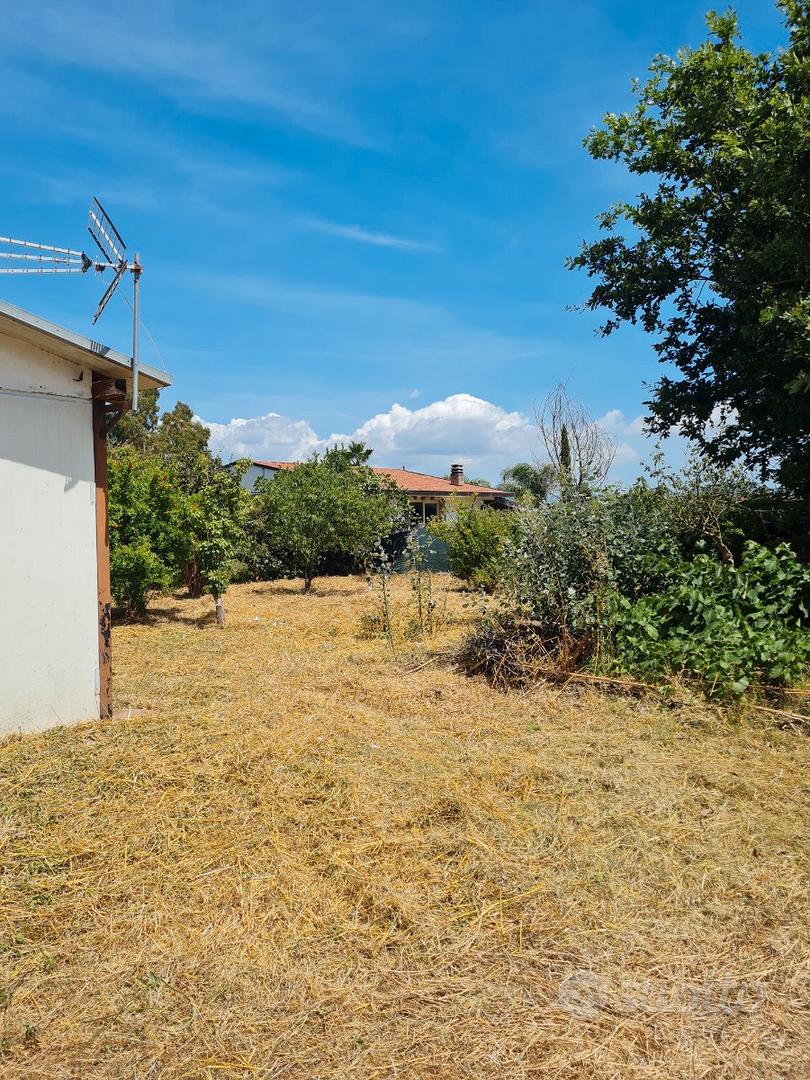Terreno agricolo SABAUDIA - Vista 2