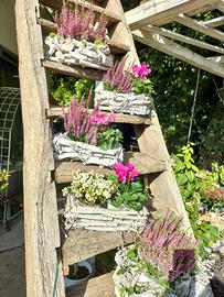 Attività di fiori e piante