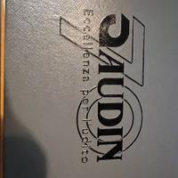 AMPLIPHON AUDIN PROF