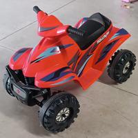 Quad Bimba 
