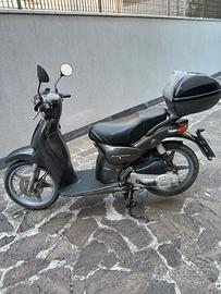 Scarabeo 1004t