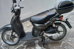 Scarabeo 1004t